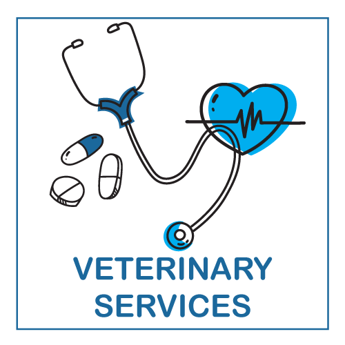 Veterinary Services Button